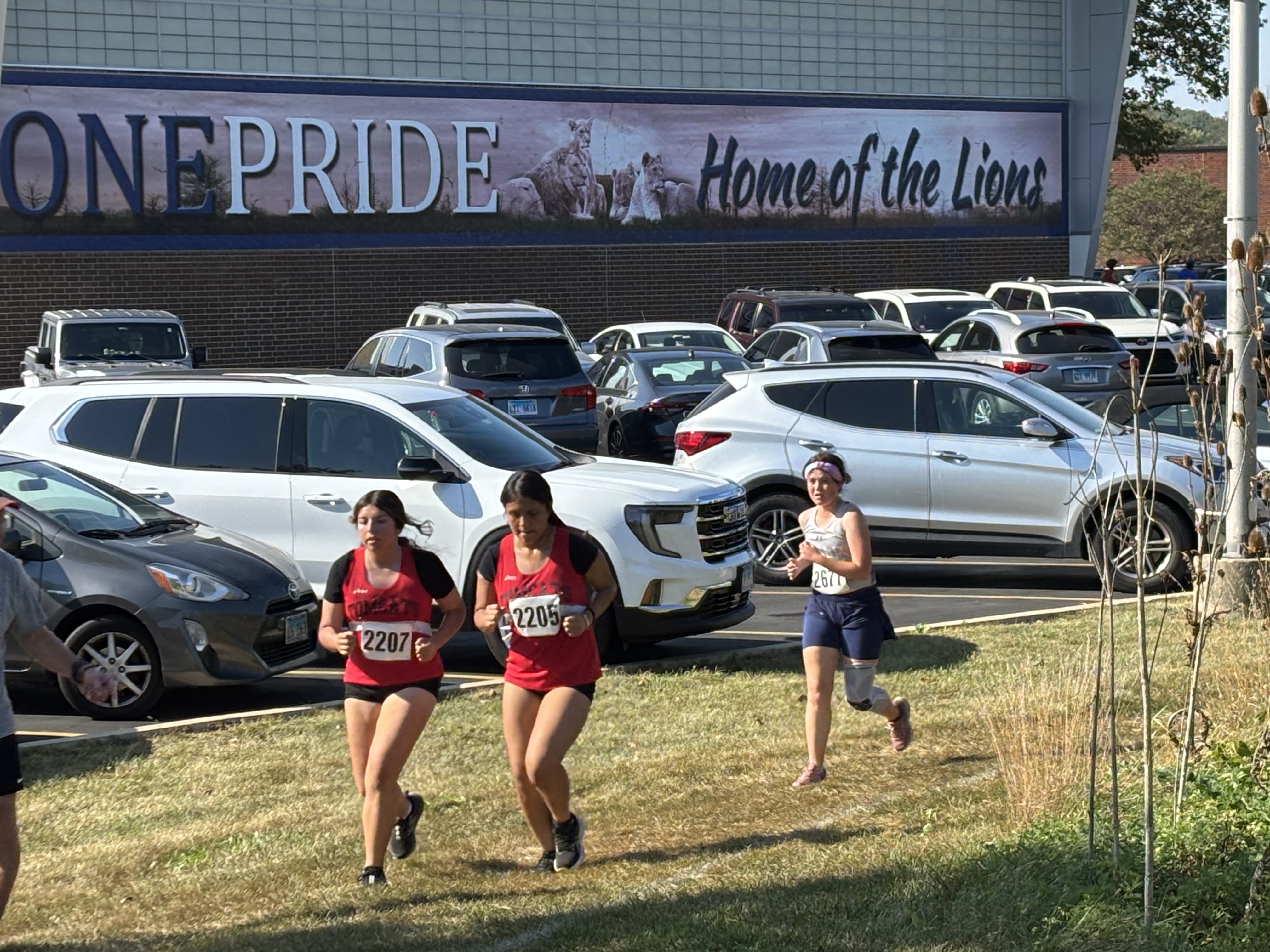 Violet at the 2025 Lisle Mane Event